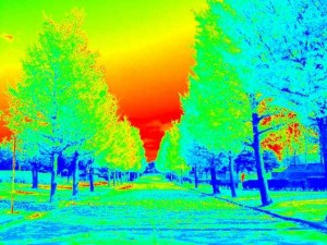 heat-map