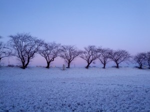 50ac532c85e53f4d85b0f9664c60ed28_s