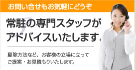 お問い合せもお気軽にどうぞ 常駐の専門スタッフがアドバイスいたします。シロアリ駆除方法など、お客様の立場に立ってご提案・お見積もりいたします。