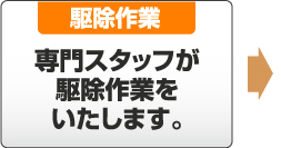 駆除作業 専門スタッフが駆除作業をいたします。