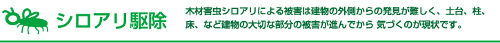 シロアリ駆除 木材害虫シロアリによる被害は建物の外側からの発見が難しく、土台、柱、床、など建物の大切な部分の被害が進んでから 気づくのが現状です。