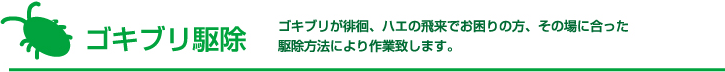 ゴキブリ駆除 ゴキブリが徘徊、ハエの飛来でお困りの方、その場に合った駆除方法により作業致します。