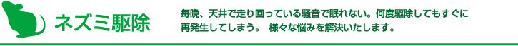 ネズミ駆除 毎晩、天井で走り回っている騒音で眠れない。何度駆除してもすぐに再発生してしまう。　様々な悩みを解決いたします。