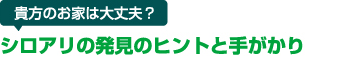 貴方のお家は大丈夫？シロアリの発見のヒントと手がかり