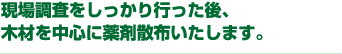 現場調査をしっかり行った後、木材を中心に薬剤散布いたします。