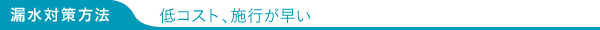 漏水対策方法 低コスト、施行が早い