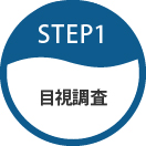 STEP1 目視調査